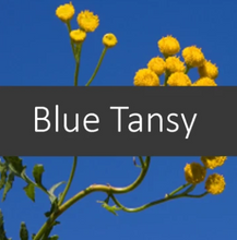 Load image into Gallery viewer, Blue Tansy Essential Oil
