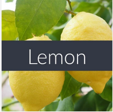 Load image into Gallery viewer, Lemon Essential Oil
