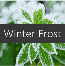 Load image into Gallery viewer, Winter Frost Essential Oil Blend
